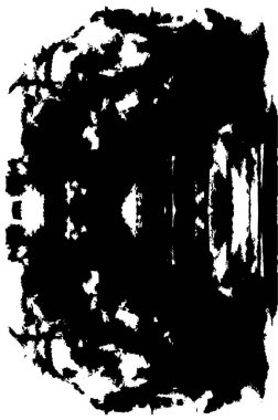 Sert siyah-beyaz dokular. Grunge 'un geçmişi. Soyut doku etkisi. Vektör İllüstrasyonu