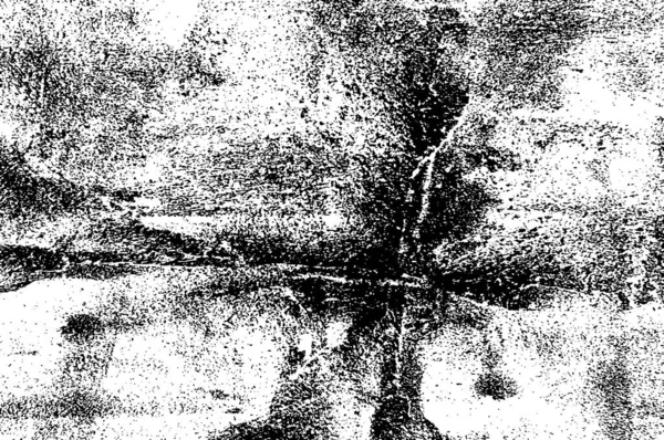 Soyut Arkaplan Monokrom Dokusu Siyah Beyaz Tonlarının Etkisiyle Görüntü — Stok Vektör