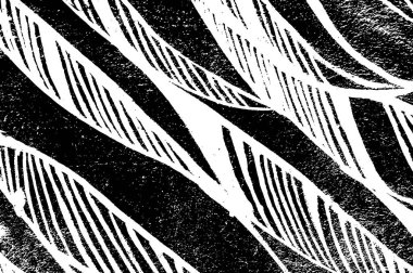 siyah ve beyaz grunge arkaplanı 