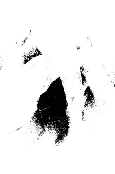 Abstracte Achtergrond Monochrome Textuur Bevat Een Effect Zwart Wit Tinten — Stockvector