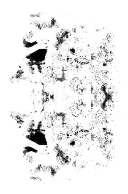 Siyah beyaz desenli, lekeli, çizikli ve çizgili sıkıntılı bir arka plan. Soyut vektör illüstrasyonu