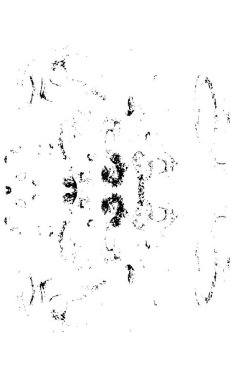 arkaplan için soyut siyah ve beyaz grunge şablonu, vektör illüstrasyonu