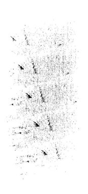 Tek renkli ağ benzersiz bir illüstrasyon. siyah ve beyaz tasarım.