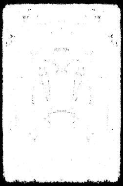 Tek renkli ağ benzersiz bir illüstrasyon. siyah ve beyaz tasarım.