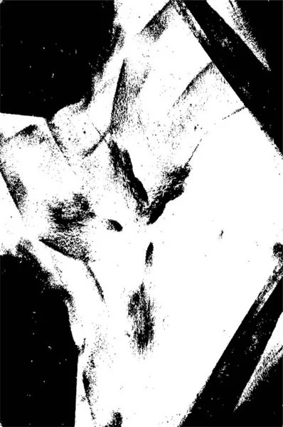 Illustration Unique Toile Monochrome Design Noir Blanc — Image vectorielle