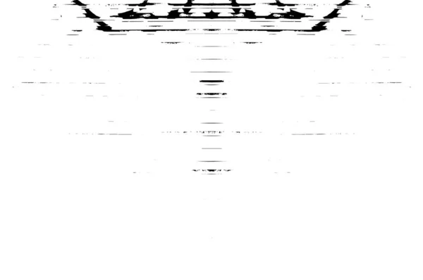Monochrome Web Unique Illustration Black White Design — Stock Vector