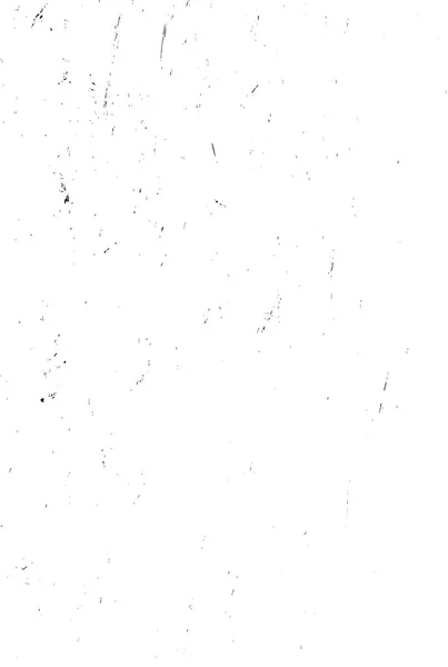 Monochrome Web Unique Illustration Black White Design — Stock Vector