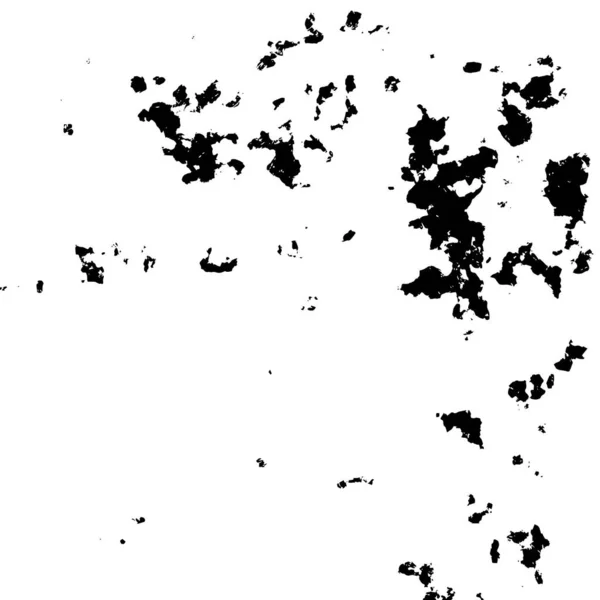 Μονόχρωμη Μοναδική Απεικόνιση Ιστού Ασπρόμαυρο Σχέδιο — Διανυσματικό Αρχείο