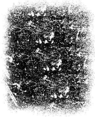 Tek renkli ağ benzersiz bir illüstrasyon. siyah ve beyaz tasarım.