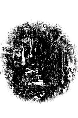 Tek renkli soyut web çizimi. siyah ve beyaz tasarım.