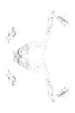 soyut siyah ve beyaz grunge şablonu, vektör illüstrasyonu