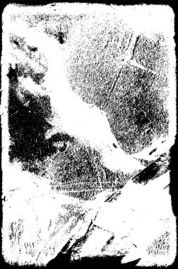 Tek renkli soyut web çizimi. siyah ve beyaz tasarım.