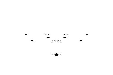 Soyut arkaplan. Monokrom dokusu. Siyah ve beyaz desenli arkaplan.    