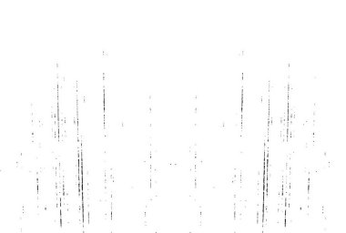 Siyah ve beyaz soyut web çizimi. Tek renkli tasarım.