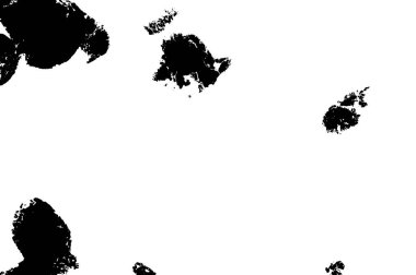 Siyah ve beyaz soyut web çizimi. Tek renkli tasarım.