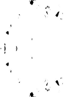 Siyah ve beyaz soyut web çizimi. Tek renkli tasarım.