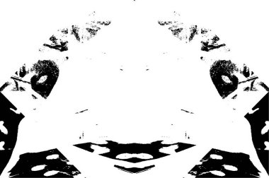 Grunge siyah beyaz vektör arka plan