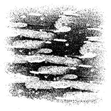 Soyut arkaplan. monokrom dokusu. siyah ve beyaz 