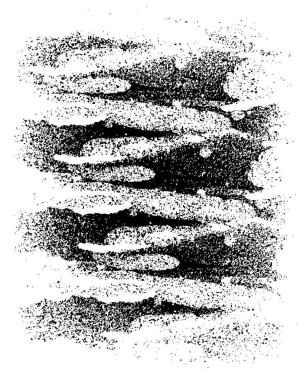 Grunge siyah beyaz doku arka plan