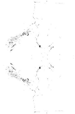 Siyah beyaz monokrom eski grunge vintage eskimiş arka plan soyut antika desenli retro model