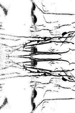 Siyah ve Beyaz Sorunlu Grunge Vektör Kaplama Şablonu. Koyu renkli eskimiş doku. Kirli Yaratıcı Tasarım Arkaplan Elementi