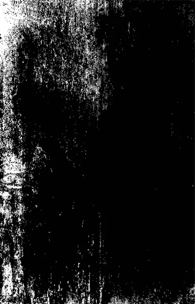 Monochrome Grunge Abstract Texture Black White Illustration — Stock Vector