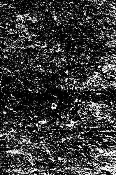 Monochroom Abstracte Textuur Zwart Wit Illustratie — Stockvector