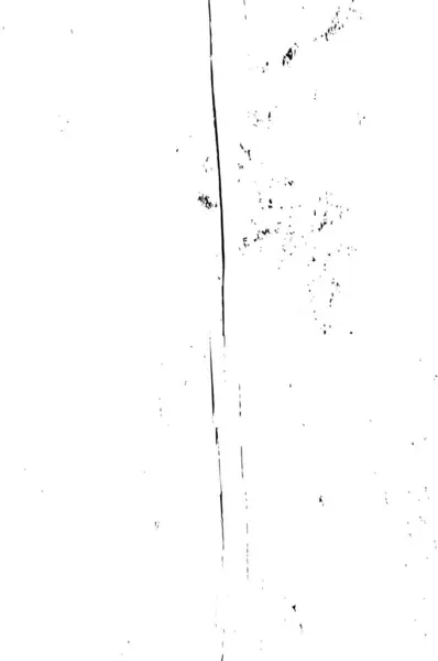Texture Abstraite Noir Blanc Illustration Monochrome — Image vectorielle