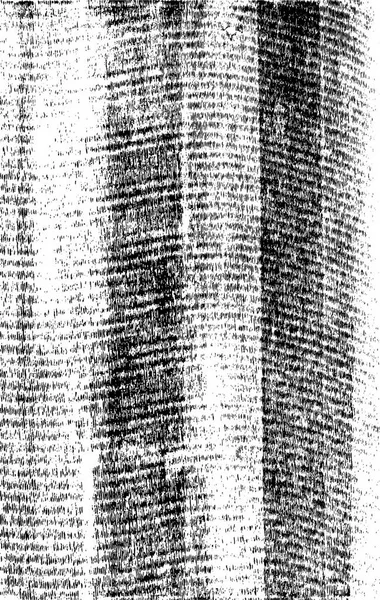 Чорно Біла Абстрактна Текстура Монохромна Ілюстрація — стоковий вектор