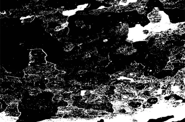 Textura Blanco Negro Estilo Artístico Fantástico Fondo Monocromo Patrón Del — Archivo Imágenes Vectoriales