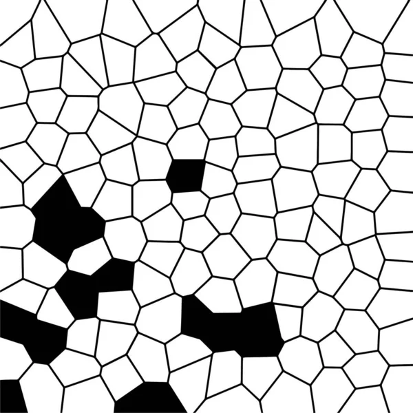 Černá Bílá Textura Uměleckém Stylu Fantastické Monochromatické Pozadí Vzor Chaosu — Stockový vektor