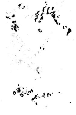 Sanat tarzında siyah ve beyaz dokular. Harika bir monokrom geçmişi var. Noktaların, noktaların, çizgilerin, çatlakların kaosundan bir desen. Grunge karanlık gerçeküstü