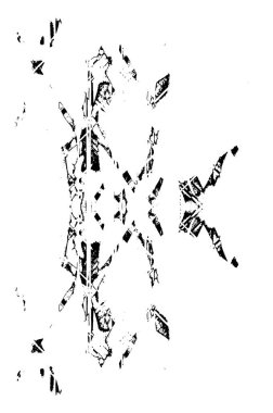 Soyut arkaplan. monokrom dokusu. siyah ve beyaz 