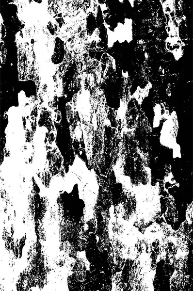 アートスタイルの黒と白のテクスチャー 素晴らしいモノクロの背景 亀裂の混沌からパターン グラウンジ ダーク サルリアル — ストックベクタ