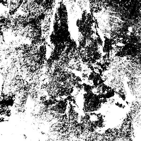 黒と白のグラウンジ 古いレトロなヴィンテージの天候の背景 抽象的な表面 — ストックベクタ