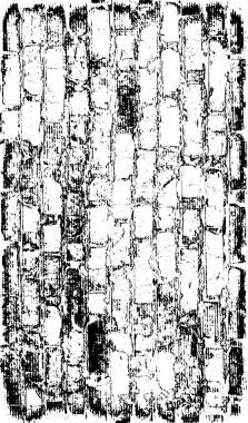 Soyut arkaplan. Monokrom dokusu. Resim siyah ve beyaz tonları içerir.