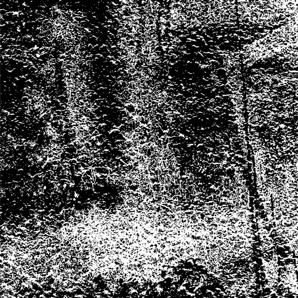 Grunge Patrón Blanco Negro Partículas Monocromáticas Textura Abstracta Fondo Grietas — Vector de stock