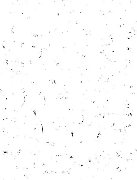 Abstract Grunge Background Black White Vector Illustration — Stock Vector