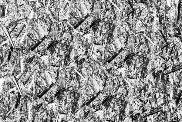 Mustavalkoinen Grunge Tausta Vintage Sään Abstrakti Pinta Vektorikuvaus — vektorikuva