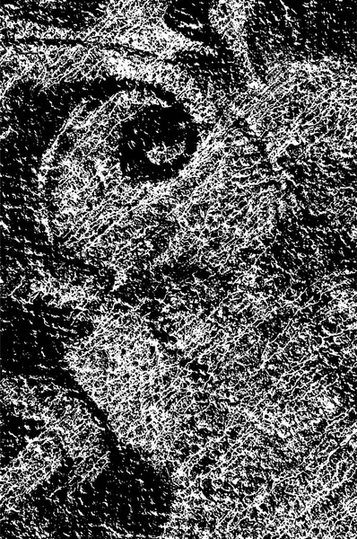 Gabarit Grunge Artistique Noir Blanc Illustration Vectorielle — Image vectorielle