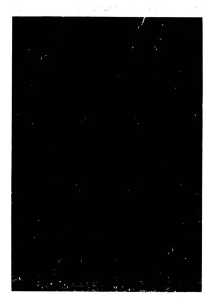 Verstörter Hintergrund Schwarz Schwarzer Textur Mit Punkten Flecken Kratzern Und — Stockvektor