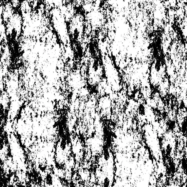Abstrakt Grunge Bakgrund Svart Och Vitt Textur — Stock vektor