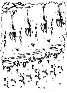 Grunge üst üste biniyor. Soyut siyah-beyaz vektör arkaplanı. Çatlak, leke ve noktalarda kirli desenli tek renkli klasik yüzey. Karanlık korku tarzında eski bir duvar.