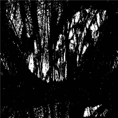 Soyut tek renkli arkaplan. Siyah ve beyaz vektör çizimi   