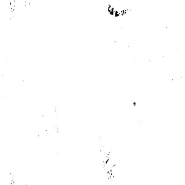 Soyut tek renkli arkaplan. Siyah ve beyaz vektör çizimi   