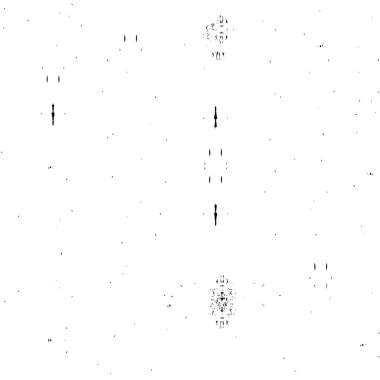 Soyut tek renkli arkaplan. Siyah ve beyaz vektör çizimi   