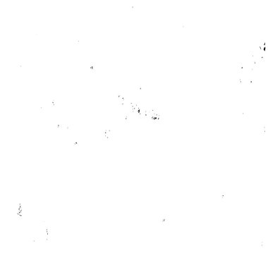 Soyut tek renkli arkaplan. Siyah ve beyaz vektör çizimi   