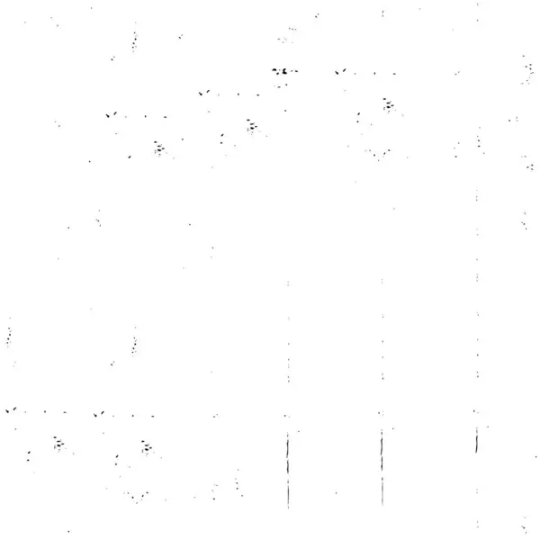 Abstrakte Schwarz Weiß Textur Mit Kratzern — Stockvektor