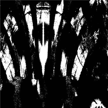 Siyah beyaz arka plan. Soyut arkaplan. monokrom dokusu.          