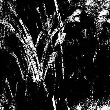 soyut siyah ve beyaz grunge şablonu, vektör illüstrasyonu